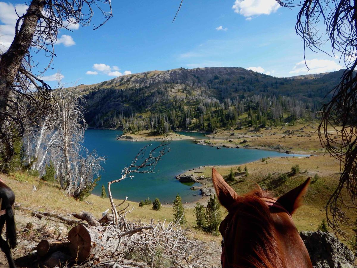 Buffalo Valley Ranch Moran Bagian luar foto